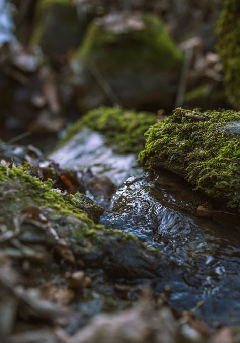 A serene stream of water flows gently over lush, moss-covered rocks, creating a tranquil natural scene.